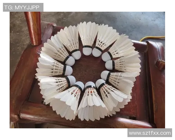 探索凯胜100ti的卓越性能与技术创新引领羽毛球运动新潮流