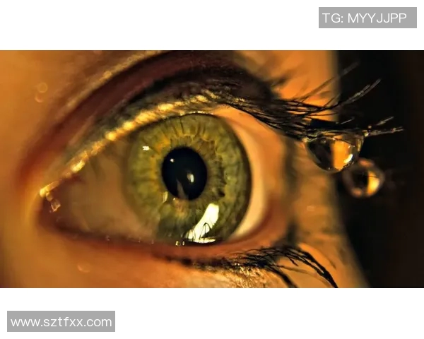 拉波尔特：探索其在现代科技与人文领域的深远影响与启示