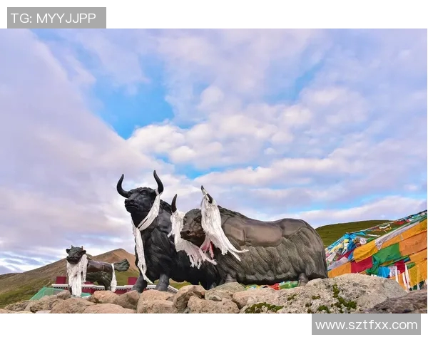 探索阿拉巴的魅力与文化深入了解这个神秘的地方与其独特的风土人情