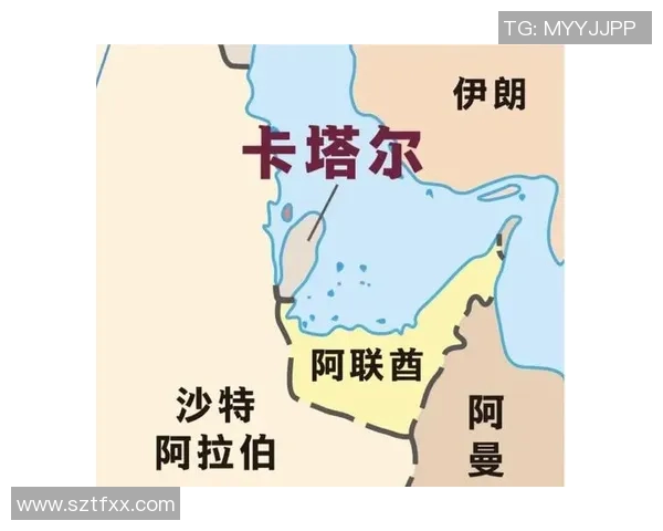 中国与卡塔尔队比赛地点及相关信息详解