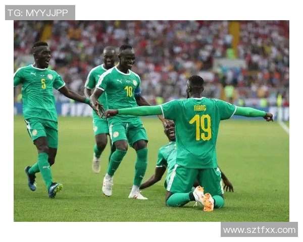 塞内加尔与贝宁足球历史交锋回顾与战绩分析